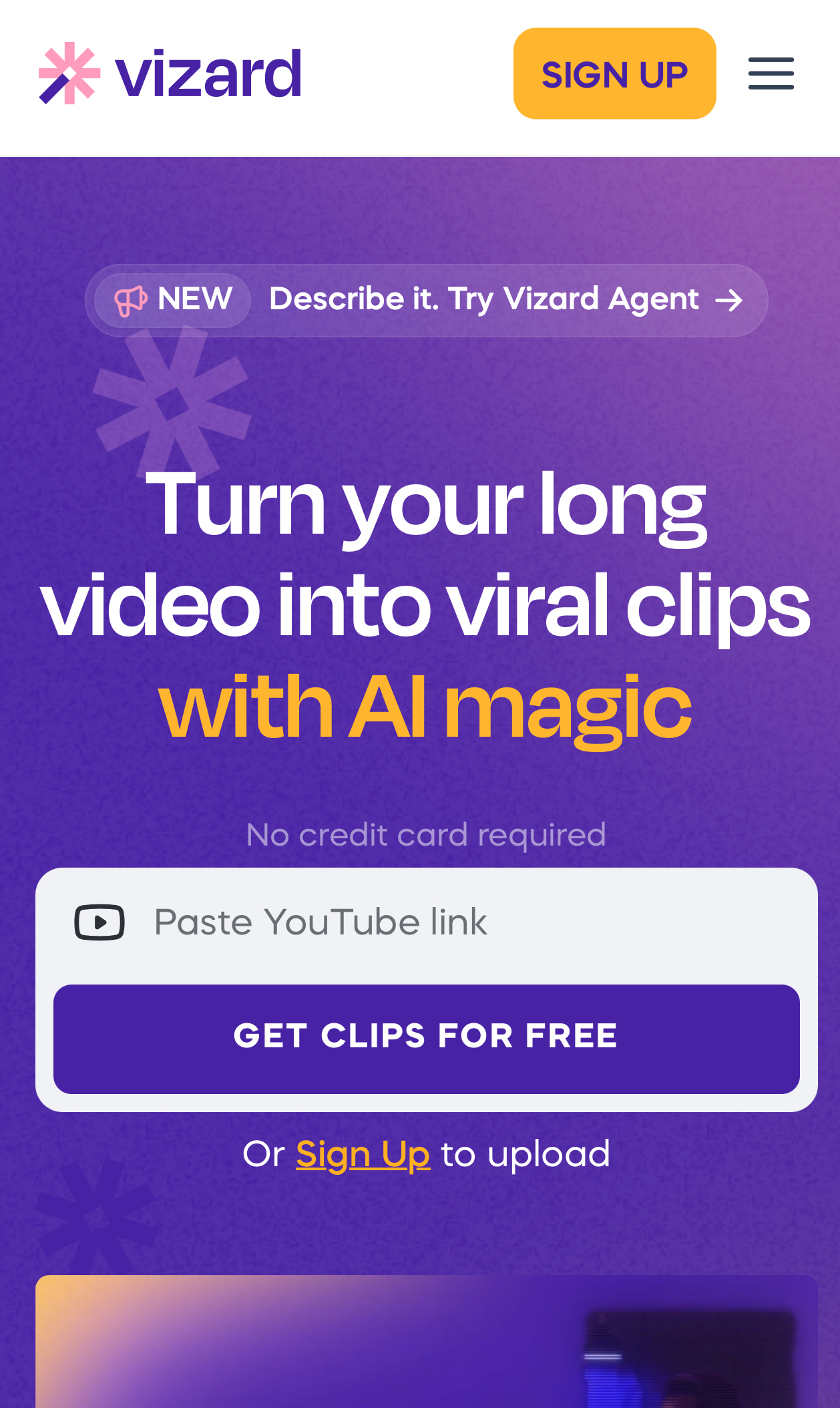 Vizard