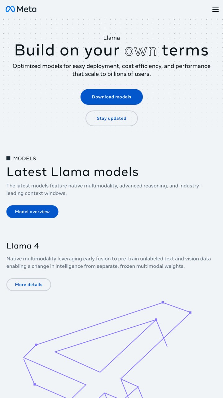 Llama by Meta