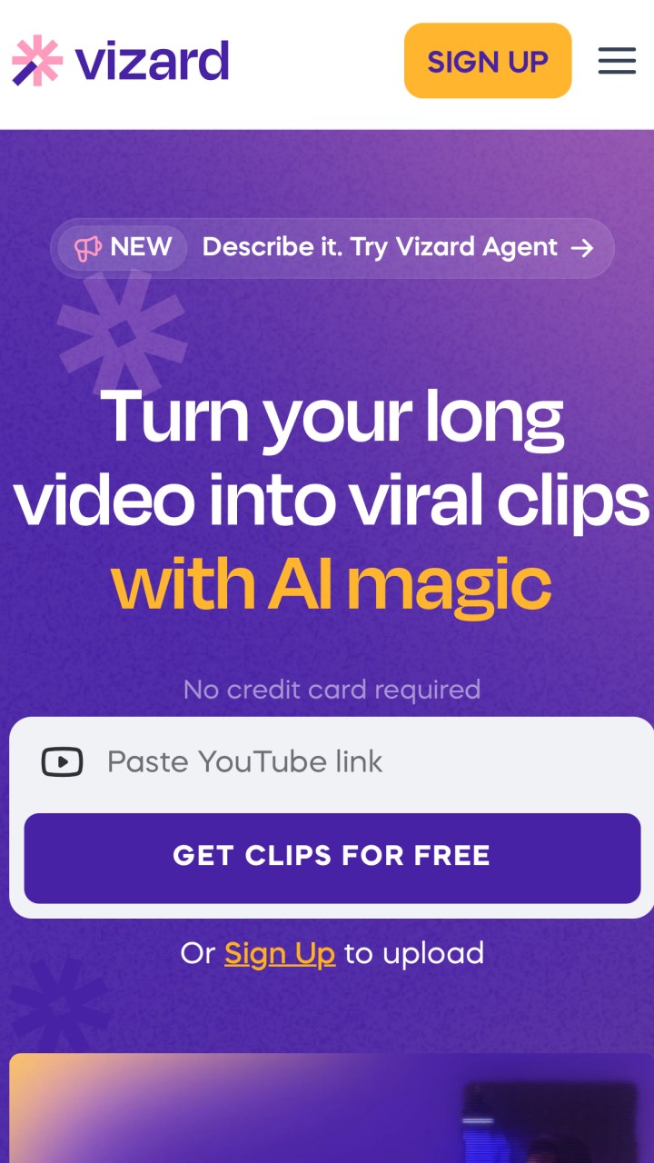 Vizard